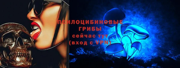 PSILOCYBIN Кущёвская