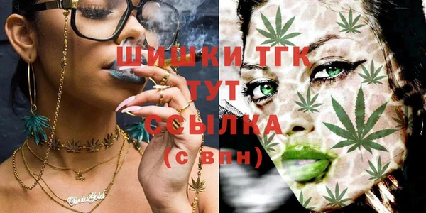 прущие грибы Богородск