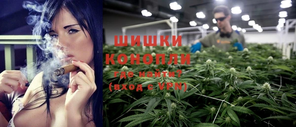 прущие грибы Богородск